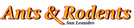 San Leandro Ant Exterminator & Rodent Control Company Logo